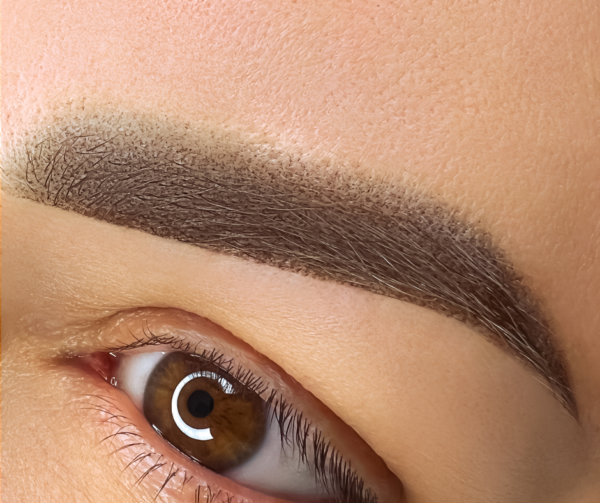 POWDER BROW